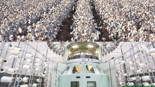 Қашқадарёда икки кластер асоссиз даромад қилгани учун жавобгарликка тортилди