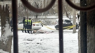 Тошкентда фуқаронинг итлар ҳужумига учраб вафот этгани рад этилди