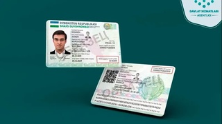 Электронная форма паспорта будет официально признана