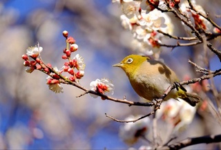 Прогноз погоды на 17 марта