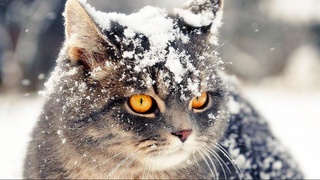 Зима ненадолго вернется в наш регион