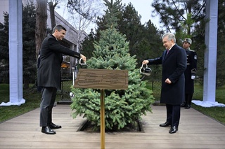 Өзбекстан және Парагвай Президенттері бірге ағаш отырғызды