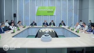 Oliy Majlisi Senatida Orolboʻyi mintaqasini rivojlantirish masalalari muhokama etildi