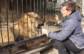 Жануарлар патшасының демеушісі