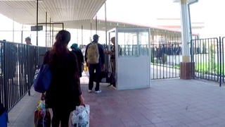 3700 дан ортиқ Ўзбекистон фуқаролари Қозоғистон-Ўзбекистон чегарасини кесиб ўтдилар