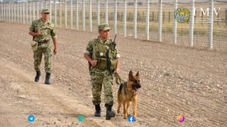 Чегарачи-ҳарбий хизматчининг турмуш ўртоғига пенсияга чиқишда  қандай имтиёз бор?