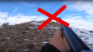 Бугундан  ёввойи ҳайвонлар ва қушларни овлаш мавсуми тўхтатилади