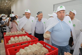 На предприятии в Ферганской области изготавливают брикеты из пыли