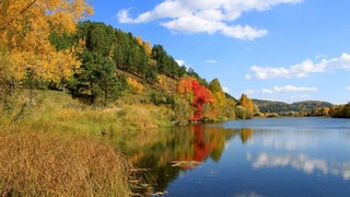 Weather forecast for November 28