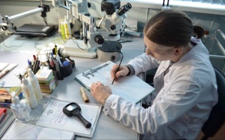 Uzbekistan will cooperate with the CIS countries in the field of forensic examination