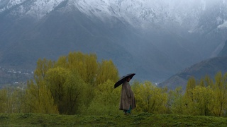 Якшанба куни ёмғир ёғади, тоғ олди ва тоғли ҳудудларда кучли бўлади