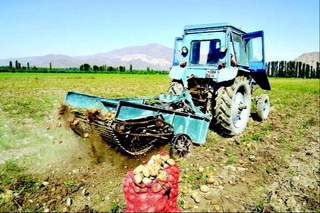 Seleksiya — oziq-ovqat xavfsizligida muhim yoʻnalish