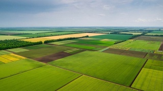 Ерларни ноқонуний эгаллаганлик учун жавобгарлик кескин кучайтирилмоқда