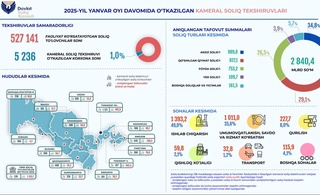 Yanvarda kameral tekshiruvi soliq toʻlovchilarning 1 foizida oʻtkazilgan
