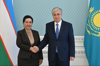 Олий Мажлис Сенати Раиси Қозоғистон Президенти билан учрашди