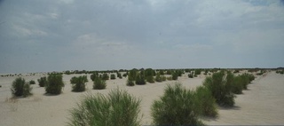 Orol dengizining qurigan tubida tadqiqot maydonchasi barpo etildi