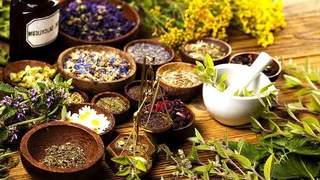 Ученые: полезные травы для зимнего питания