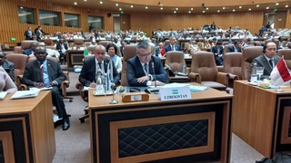 Делегация Узбекистана принимает участие в саммите лидеров государств - членов ОИС в Банжуле