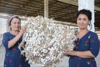 Женщины будут проходить обучение на краткосрочных курсах в отрасли коконоводства