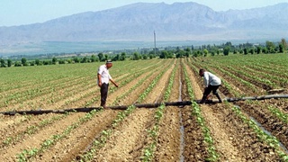 Министры стран Центральной Азии готовы помочь фермерам в борьбе с изменением климата