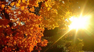 Узгидромет: узбекистанцев ждет сухая и теплая неделя