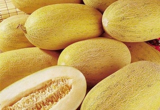 В 2022 году в Узбекистане планируют собрать 1,3 млн тонн дыни