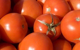 Казахстан не разрешил ввоз в страну зараженных томатов из Узбекистана