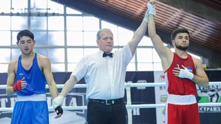 На ринге в Болгарии - с переменным успехом