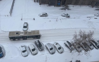 Ostona shahrida rekord darajada qor yogʻdi