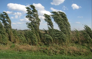 Yurtimizda oʻtayotgan ish haftasida havo 3 daraja sovuqdan 25 daraja iliqgacha oʻzgaradi