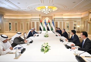 Өзбекстан Президенти БАӘ менен ири энергетика жойбарларын әмелге асырыў мәселелерин додалады