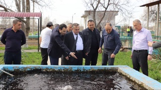 Во главе с сенатором в Ташкенте и Ташкентской области изучена работа канализационно-очистных сооружений