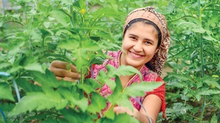 Эффективно используя приусадебный участок, получаем доход