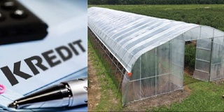 Karmana tumanida kredit mablagʻlarini oʻzlashtirgan MCHJ rahbarlari aniqlandi