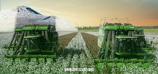 Пахта хомашёси етиштирувчилар молиявий қўллаб-қувватланади