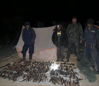 Qoraqalpogʻistonda tabiatga 40 million soʻmlik zarar yetkazgan baliq ovchilari ushlandi