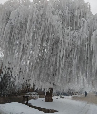 Наманган, Андижон ҳамда Фарғона вилояти айрим ҳудудларида булдуруқ ҳодисаси кузатилмоқда