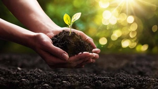 Проект «Яшил макон» и «зеленая» экономика вносят значимый  вклад в борьбу с глобальным изменением климата