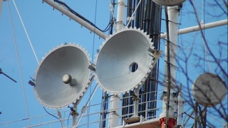 Сурхон эли қайси алоқа операторидан рози?