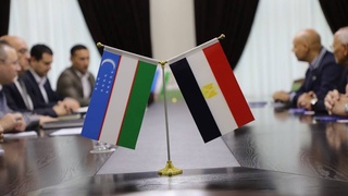 Узбекистан - Египет: достигнута договоренность о дальнейшем наращивании сотрудничества в кожевенно-обувной отрасли