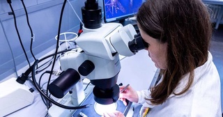 Европада чақалоқлар ўртасида экховирус инфекцияси кенг тарқалмоқда