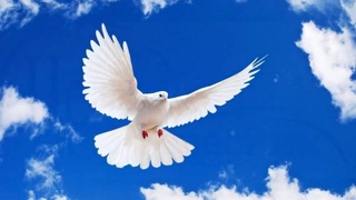 21 сентябрь – Халқаро тинчлик куни