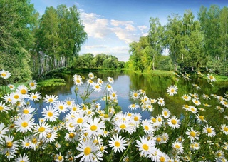 Прогноз погоды на 12 июля