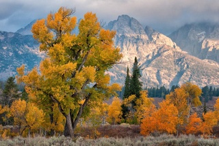 Weather forecast for December 2nd