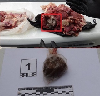 Goʻsht orasiga yashirilgan qora dori