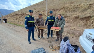 Qush ovlovchilarga chora koʻrildi