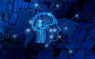 Эркаклар мияси аёлларникига қараганда тезроқ қарийди – тадқиқот