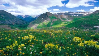 Ургутда доривор ўсимликлар кластери ташкил этилди