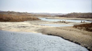 Глобальный механизм сохранения водно-болотных угодий
