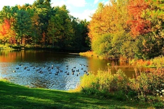 Пешгӯии обу ҳаво барои 17 октябр